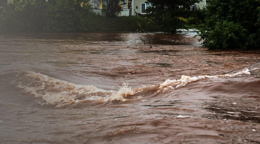 Why choose water damage restoration service for emergency flood repair in Warner Robins